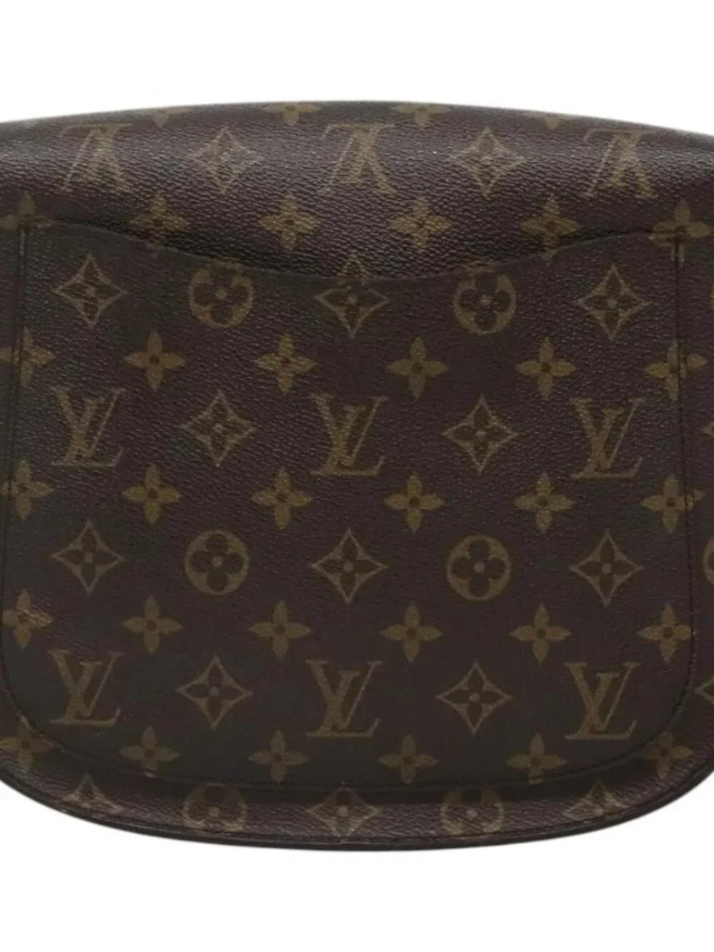 LOUIS VUITTON Monogram Saint Cloud GM Shoulder Bag - Picture 3 of 16